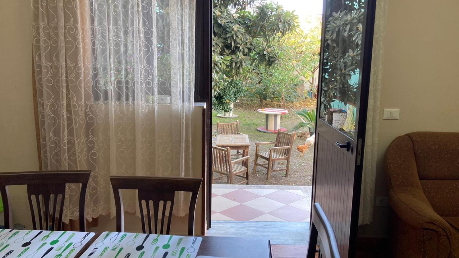 Blissful Hostel Shkodër エクステリア 写真