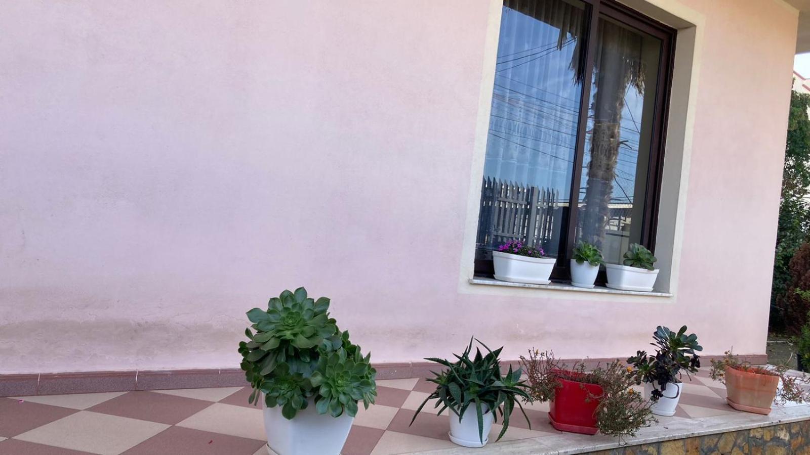 Blissful Hostel Shkodër エクステリア 写真